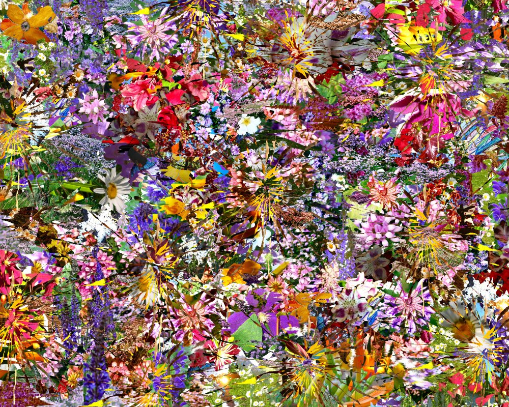 flower shape collage