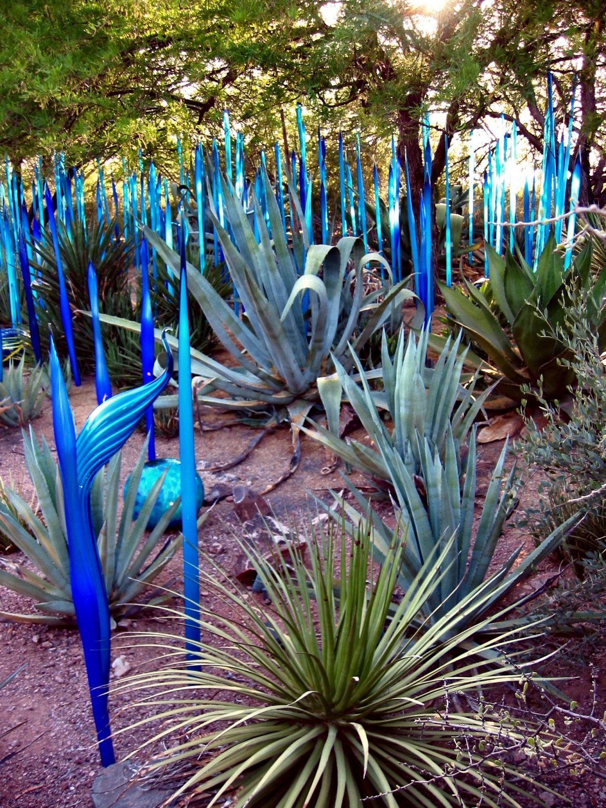 Gardens In Arizona